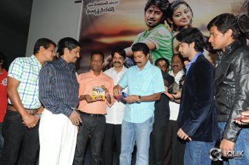 Cut Chesthe Movie Audio Launch